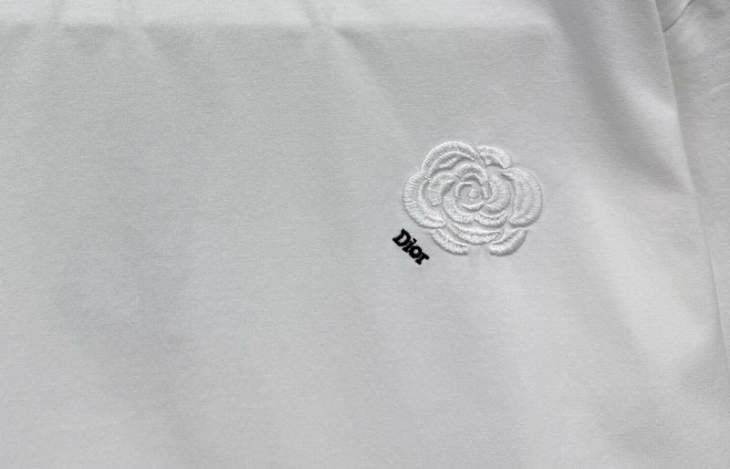 Dior T Shirts Short _SKUDiorS-XLxetr30215592